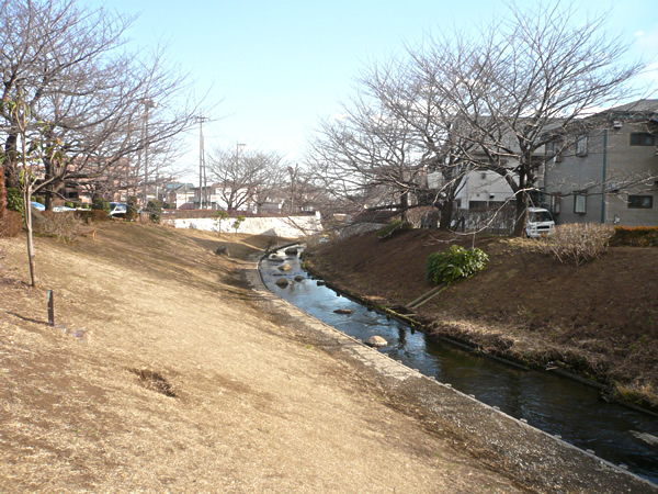 マイキャッスル中野島参番館