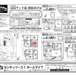 細山5　新着-1