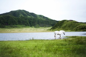 草千里ヶ浜